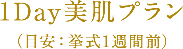 1Day美肌プラン（目安：挙式1週間前）