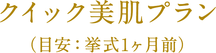 クイック美肌プラン（目安：挙式1ヶ月前）