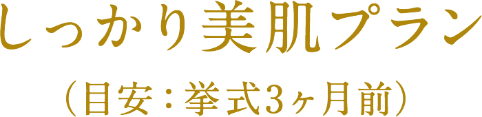 しっかり美肌プラン（目安：挙式3ヶ月前）