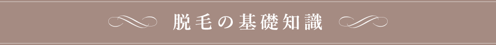 脱毛の基礎知識