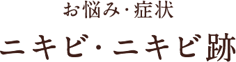 お悩み・症状 ニキビ・ニキビ跡