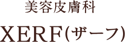 美容皮膚科 XERF